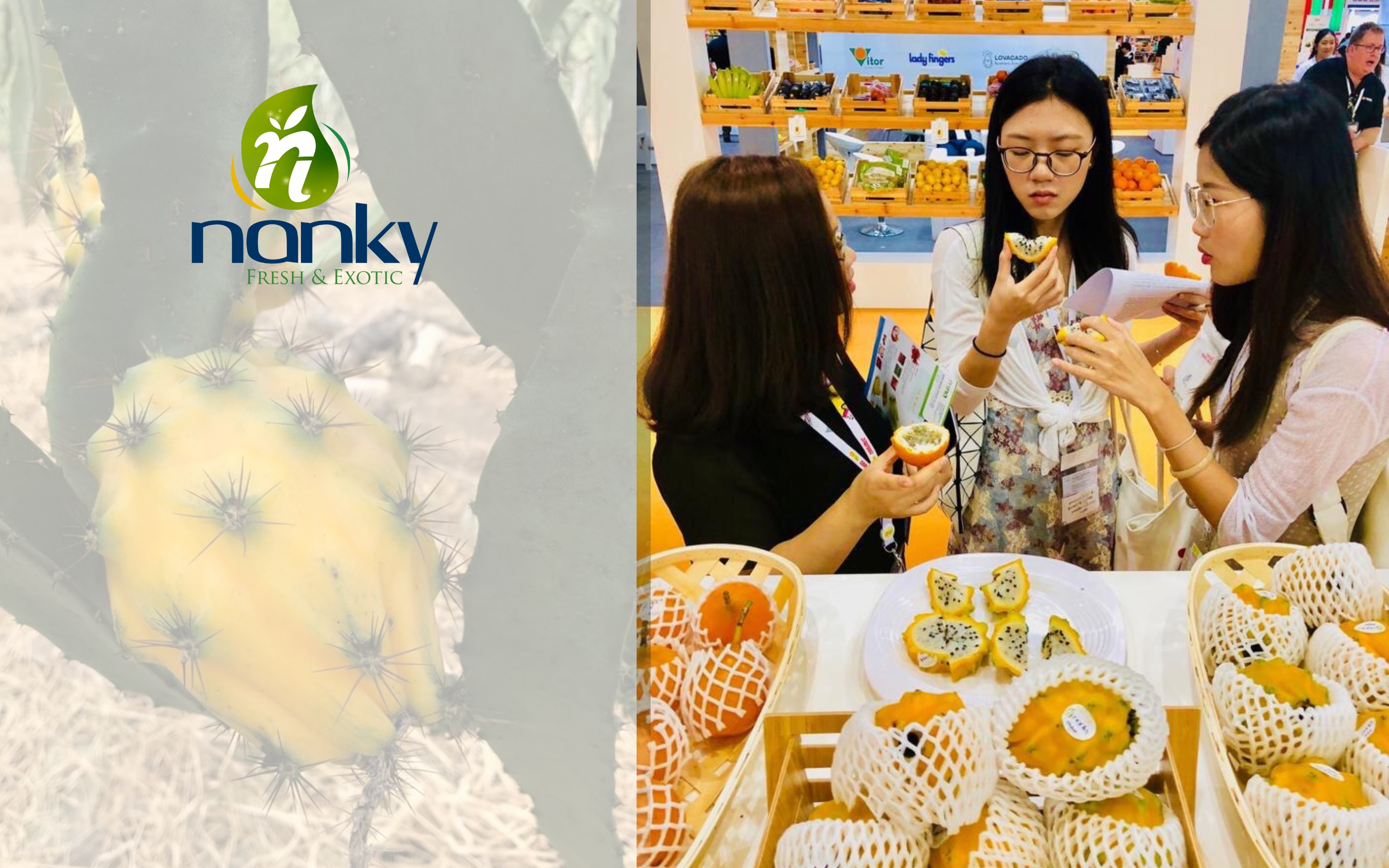 Fruta del Dragón  - NankyFoods